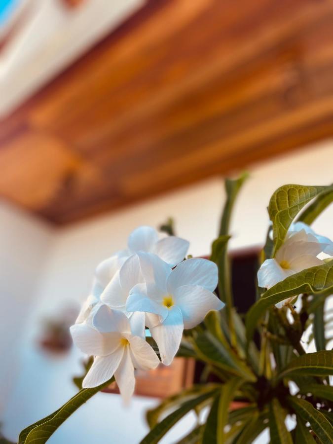 Eco Boutique Lagoinha Hotel